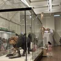 🏛️ Sydney | A Museum Kids Don’t Want to Leave