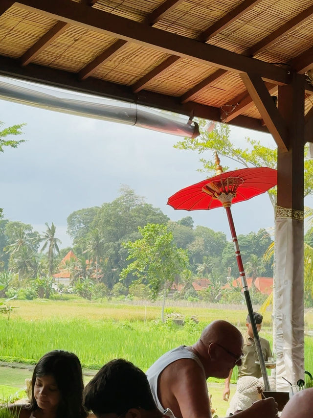 🍃田園驚喜·Ubud途中美味發現🌾🍗