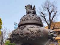 🇨🇳 วัดต้าซิงซาน (Daxingshan Temple)