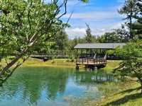 恍如仙境的台東森林公園琵琶湖