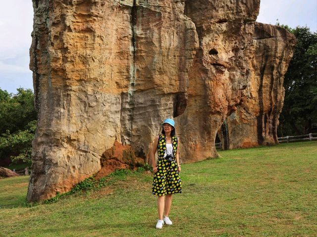 มอหินขาว สโตนเฮ้นจ์เมืองไทย ที่เที่ยวชัยภูมิ