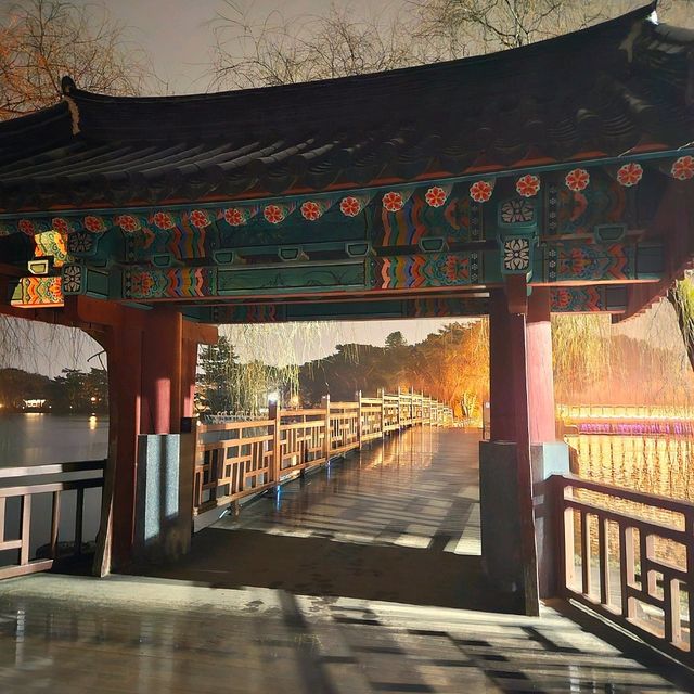 제천 의림지 야경 산책 추천