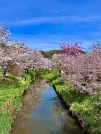 โอซาก้า🇯🇵