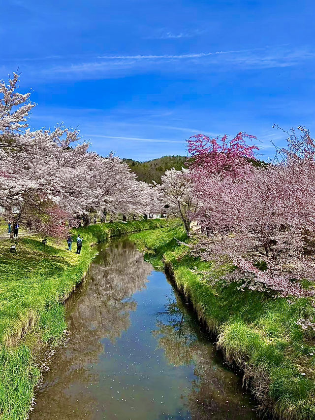 โอซาก้า🇯🇵