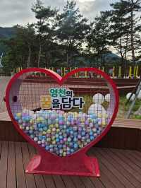 영천 보현산댐 출렁다리 걷기 좋은 명소