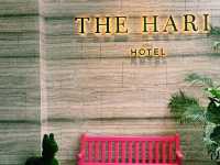香港特色海景酒店：香港夏利酒店THE HARI Hong Kong，使用trip.com預訂享受最大優惠