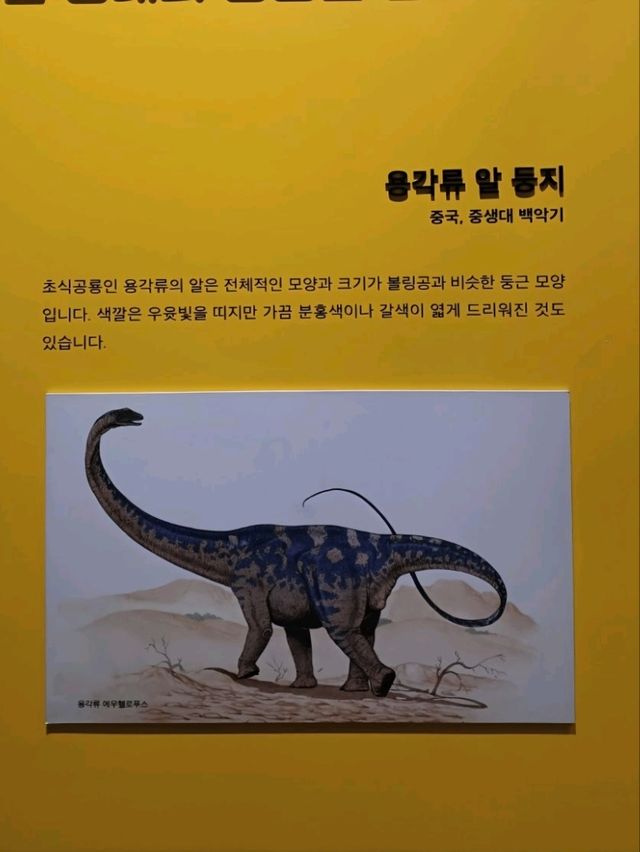 실내 탐험이 즐거운 고성공룡박물관🦖