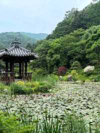 Wandering Around Achimgogyo Arboretum
