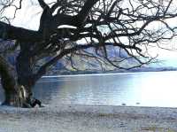 Lake Wanaka