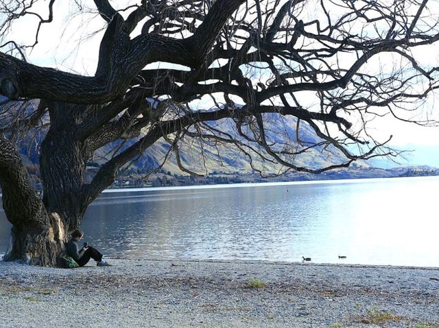 Lake Wanaka