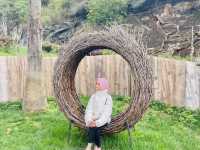 A Tiny Kingdom with a Giant Heart: My Journey to Dwarves Empire, Yunnan