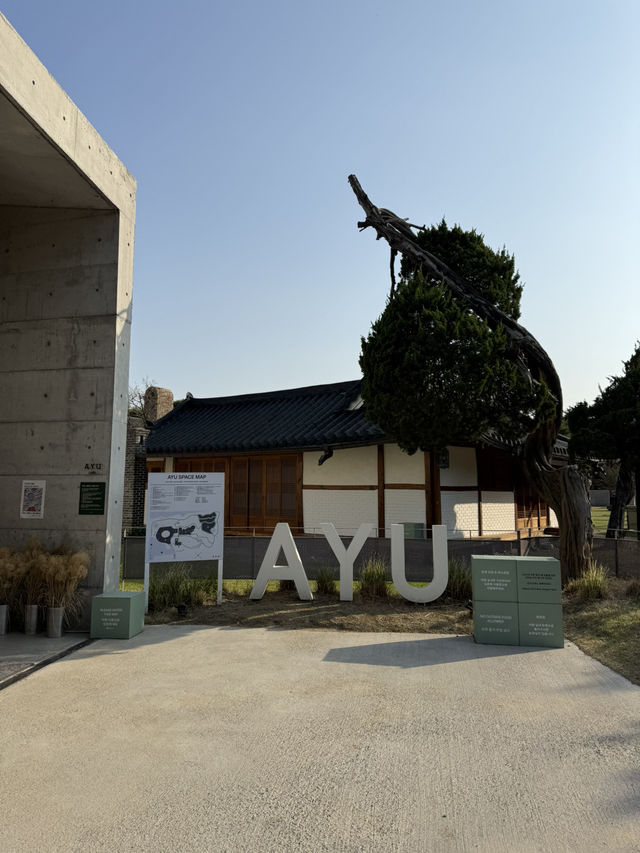 	자연과 예술이 가득한 남양주 아유스페이스 카페 추천!