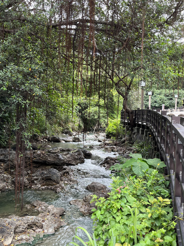 沉浸日式湯屋的極致放鬆 台北享溫泉🌿