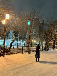 Fly to Hokkaido with AIRDO – Snowy Views & Steamy Ramen for Under $100 