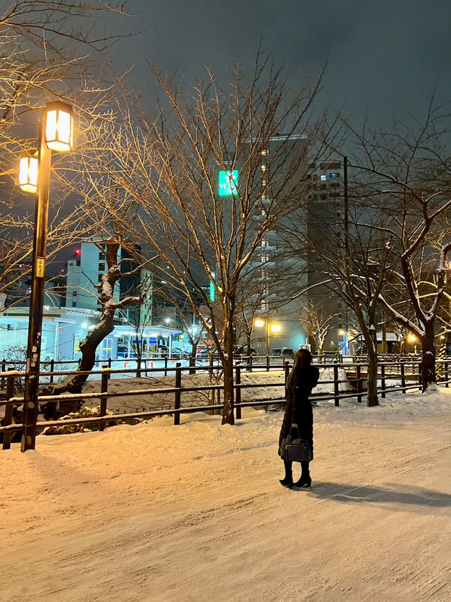 Fly to Hokkaido with AIRDO – Snowy Views & Steamy Ramen for Under $100 