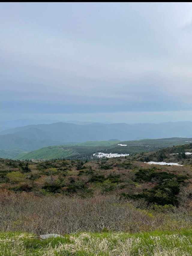 ❄️【山形・蔵王温泉＆樹氷】自然の神秘と温泉が待つ、極上の山旅