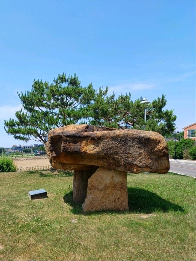 돌 속에 깃든 선사시대 이야기