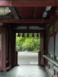【福岡】梅雨の期間限定の絶景！