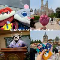 SHANGHAI THROUGH MY LENS 📷
