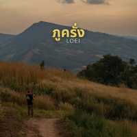 ภูคั่ง เลย สวรรค์บนดินของคนรักธรรมชาติและกาแฟ