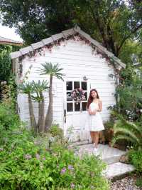 ร้านปาฎี : Padee in the wild คาเฟ่ระยอง