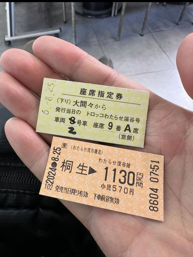 【わたらせ渓谷鐵道】トロッコ列車で巡る、四季の渓谷とノスタルジー旅