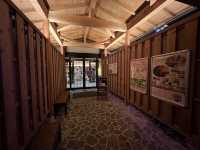 ♨️ Soothing Luxury in Iizaka – A Rejuvenating Soak at Hanamomo no Yu