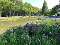 🌿 Yuantouzhu 鼋头渚 — A Peaceful Summer Escape by Taihu Lake