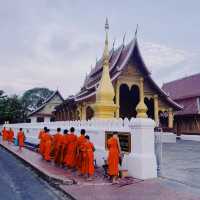 ตักบาตรเช้าหลวงพระบาง