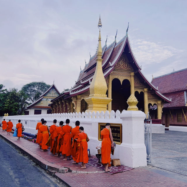 ตักบาตรเช้าหลวงพระบาง