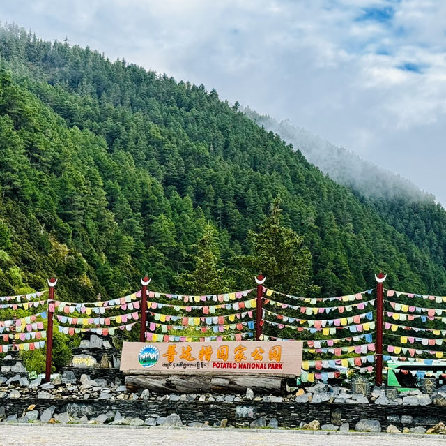 Find tranquility trekking through nature’s beauty