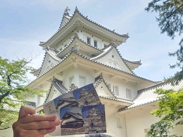 穿越歷史脈絡，大垣城〔鄉土館〕探訪之旅 🏯🎎