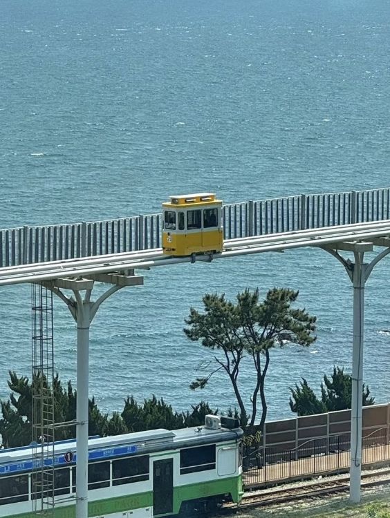 釜山 | 藏在韓劇里的浪漫海濱之城🏙️