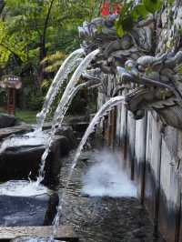 Discover the Colorful Charm of Butterfly Park – A Hidden Gem in Yunnan