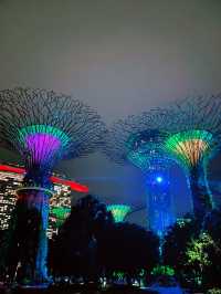 OCBC Skyway at Gardens by the Bay – A Must-Visit Nighttime Spectacle in Singapore