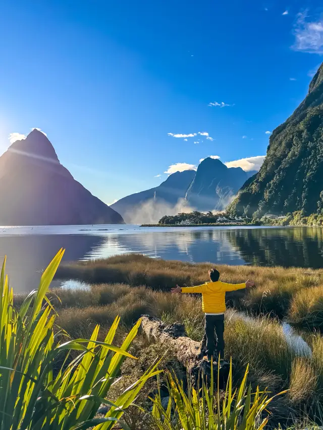 Milford Sound isn’t just a destination — it’s an experience in motion. 