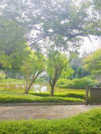 🌸 Discover Tranquility at Taman Jepun , Ipoh 🌸