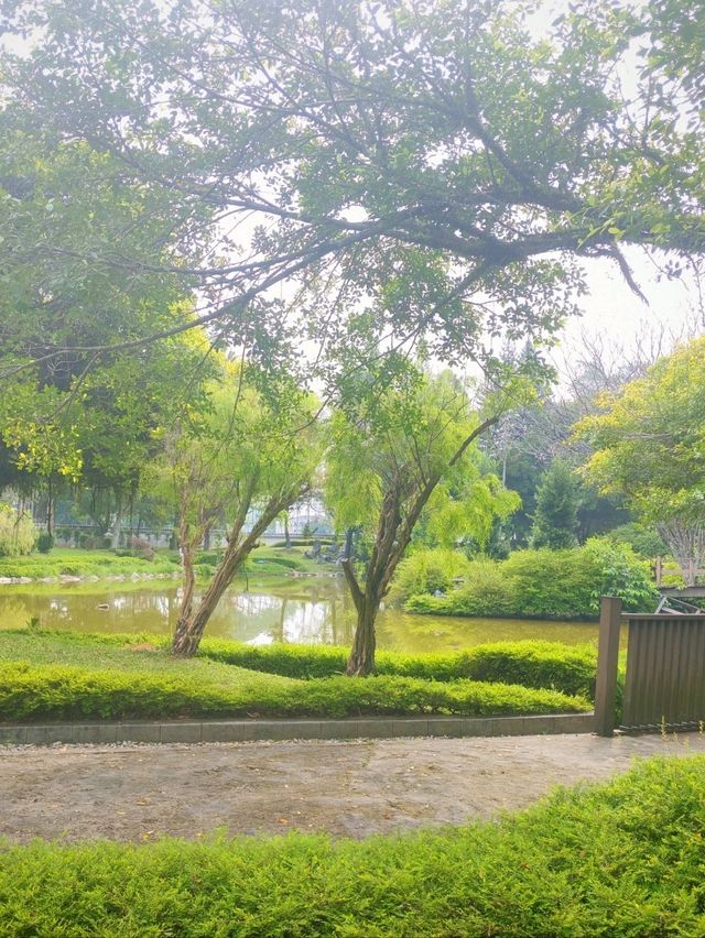 🌸 Discover Tranquility at Taman Jepun , Ipoh 🌸