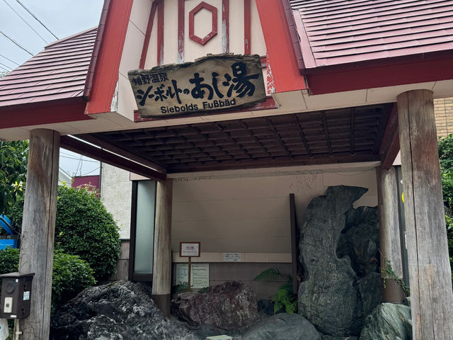 Saga's Ureshino Onsen Guide: Hot Springs! ♨️🌸