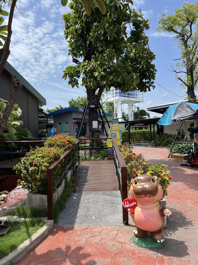 Cafe Amazon ☕️
