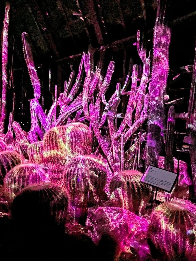 京都 | 京都府立植物園 - Light Cycles