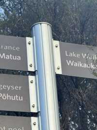 Turn hot Asia summer into cool Winter Oceania New Zealand 