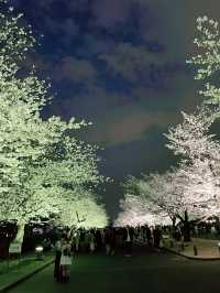 【大阪】万博記念公園