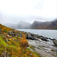 Cliffs & Calm: A Day at Tungeneset, Senja