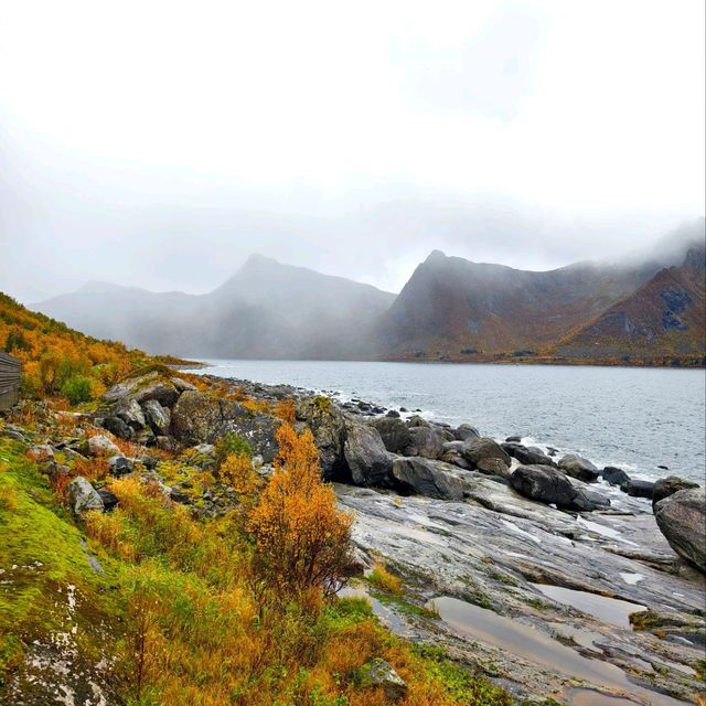 Cliffs & Calm: A Day at Tungeneset, Senja