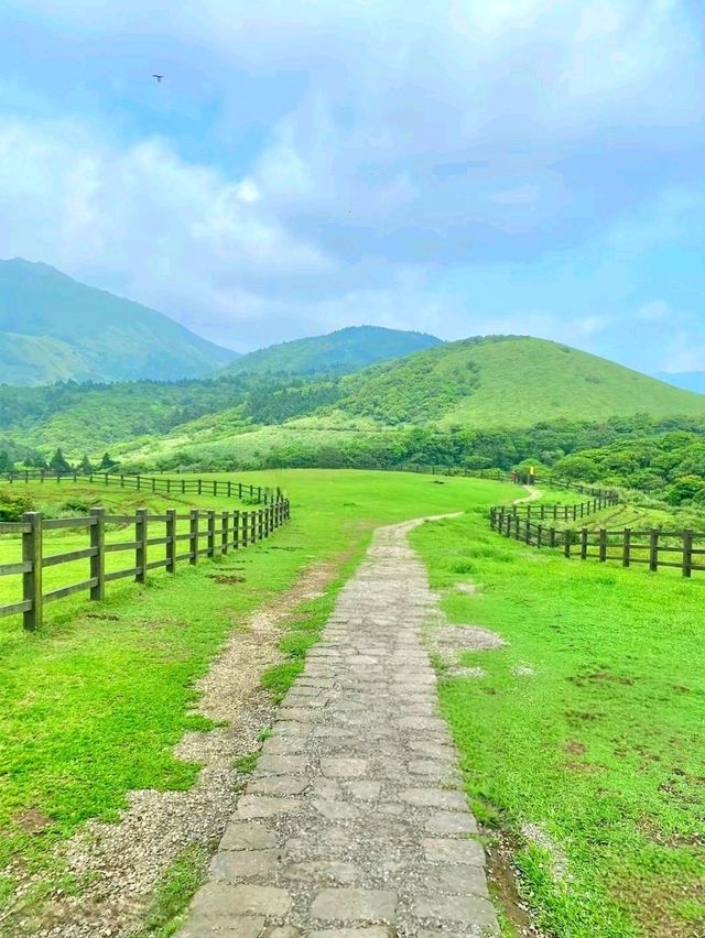 Summer Escape to Qingtiangang Grassland