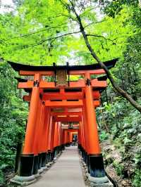 A Quiet Path Through Fushimi Inari Taisha