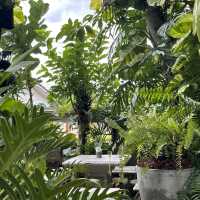 คาเฟ่ในสวน Tree House Cafe ณ หัวหิน