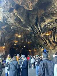 🪄【東京迪士尼海洋 Tokyo DisneySea｜2024年12月再訪體驗】🎠🌊🎆 ⭐️⭐️⭐️⭐️⭐️｜超值推薦・新園區必搶・貼心小貼士大放送！