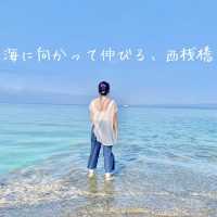 🌺1日で楽しむ、竹富島“感動映え旅”モデルプラン🏝️